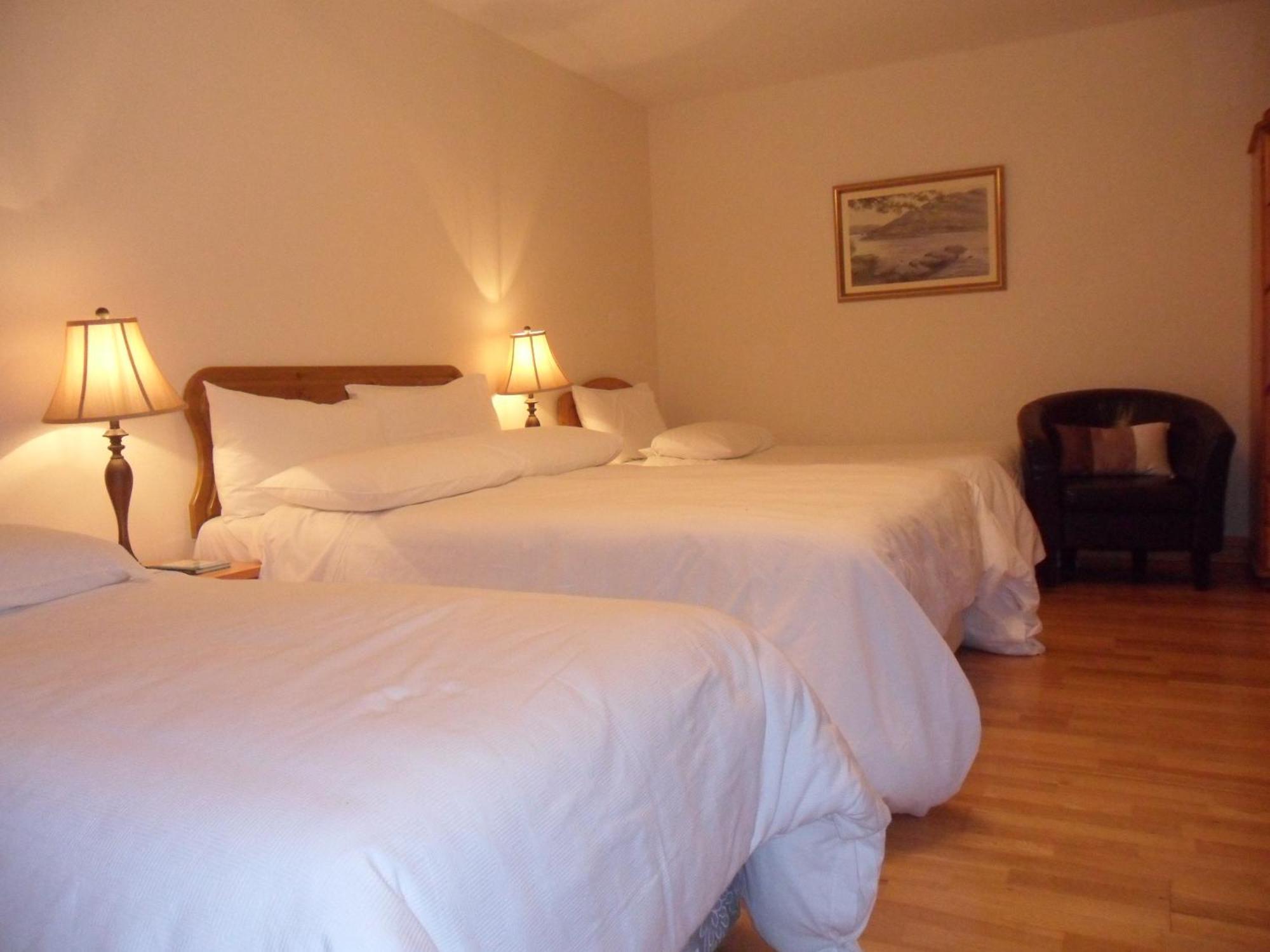 Forest Park House B&B Бойл Экстерьер фото