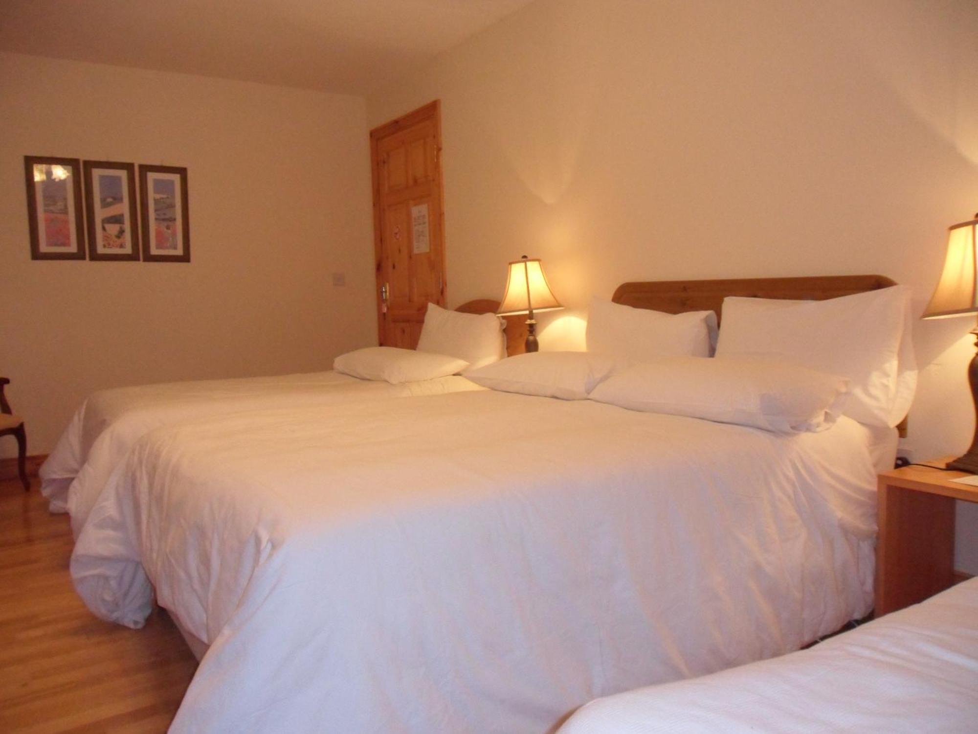 Forest Park House B&B Бойл Экстерьер фото